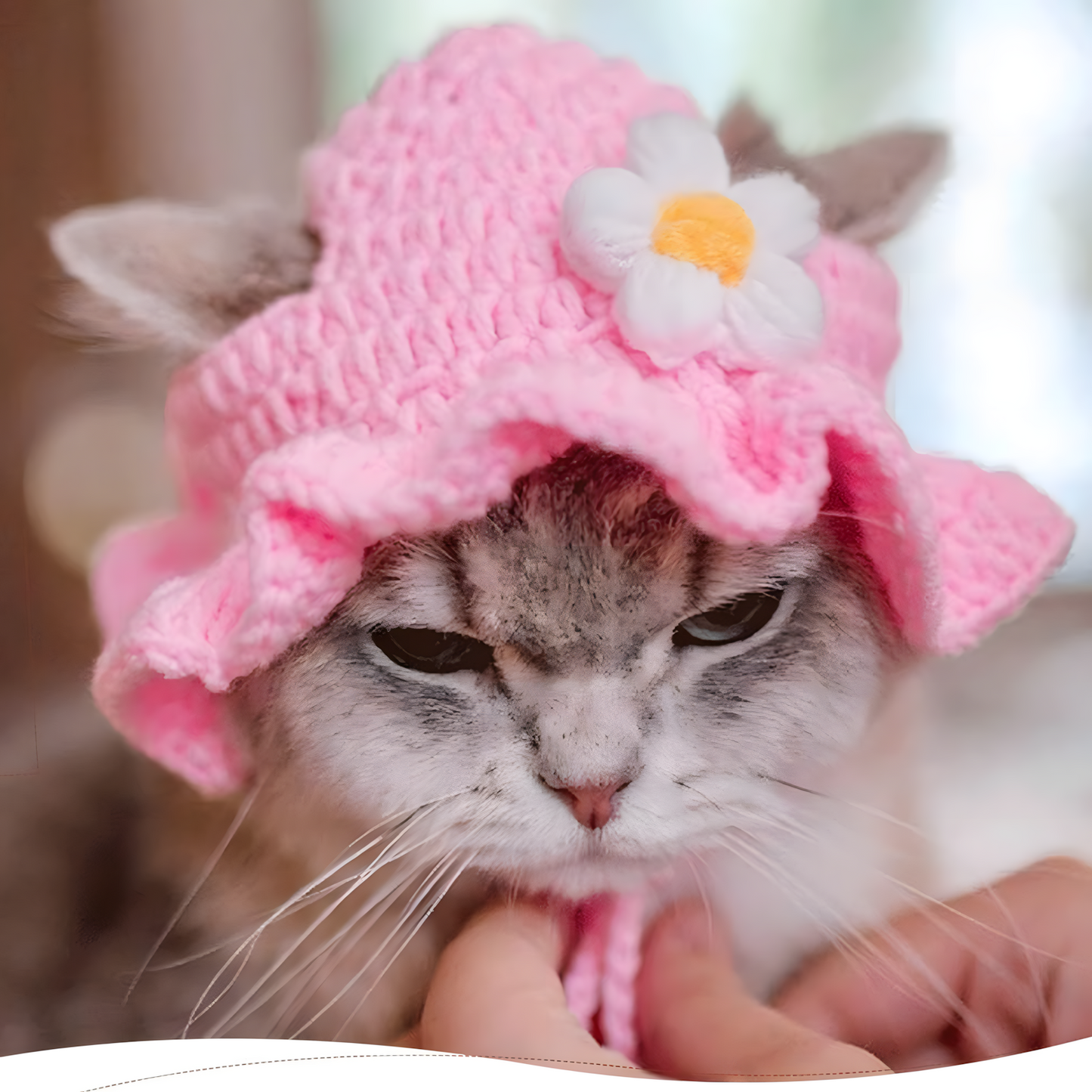 Cute Pet Hat for Dogs & Cats – Adjustable Soft Cotton Cap for Small Pets, Funny Pet Costume Accessory for Photos, Parties & Daily Wear